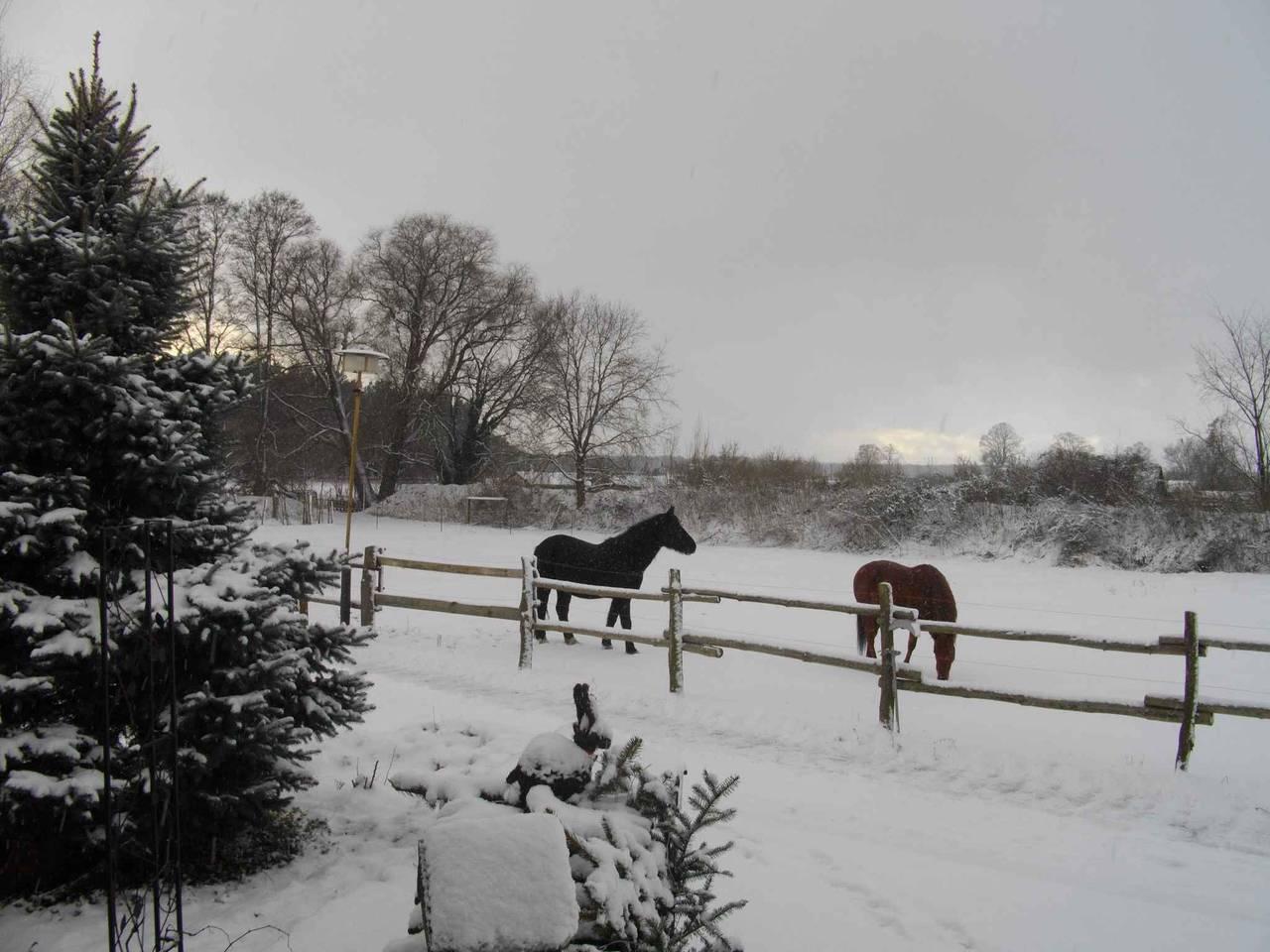 Vakantieappartement in Lübben vanaf 177€ per nacht