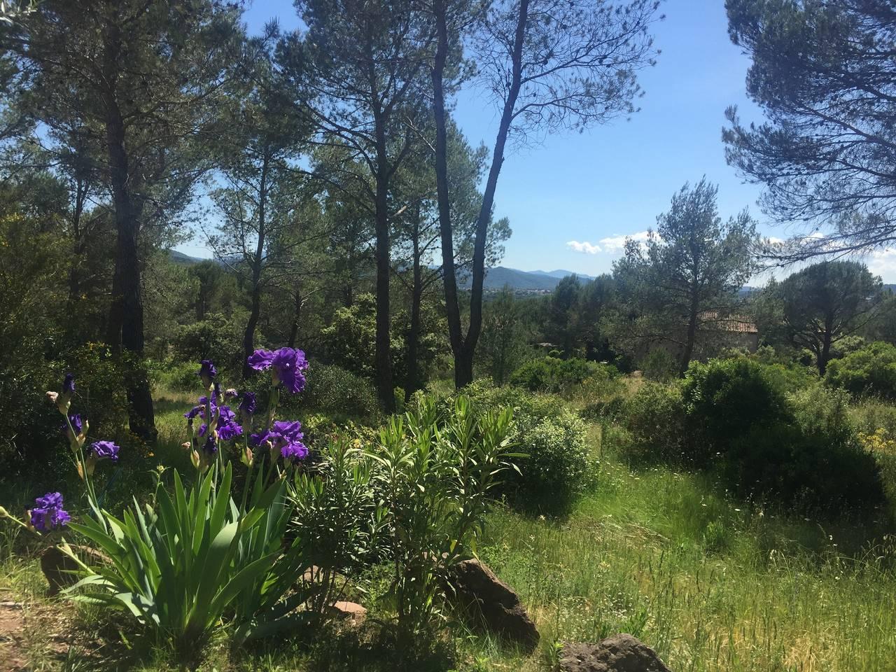 Vakantiehuis in Var vanaf 118€ per nacht